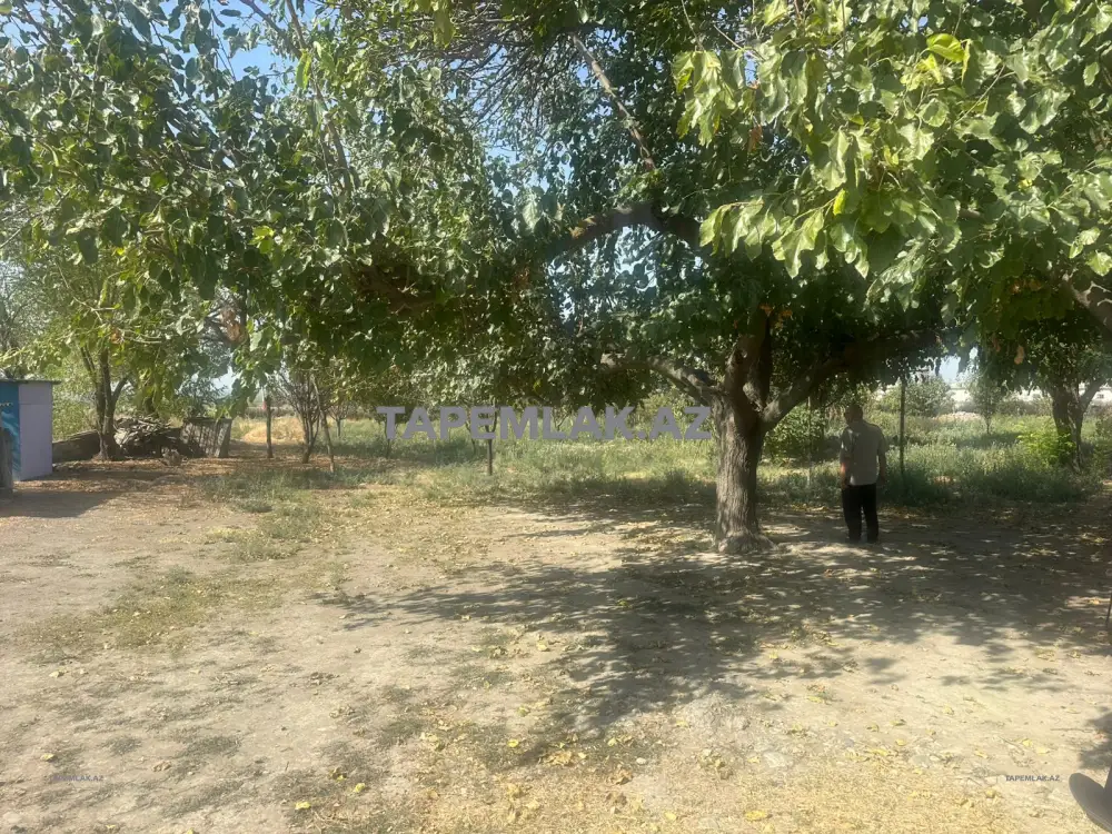 Satılır 5 otaqlı 500 m² Obyekt