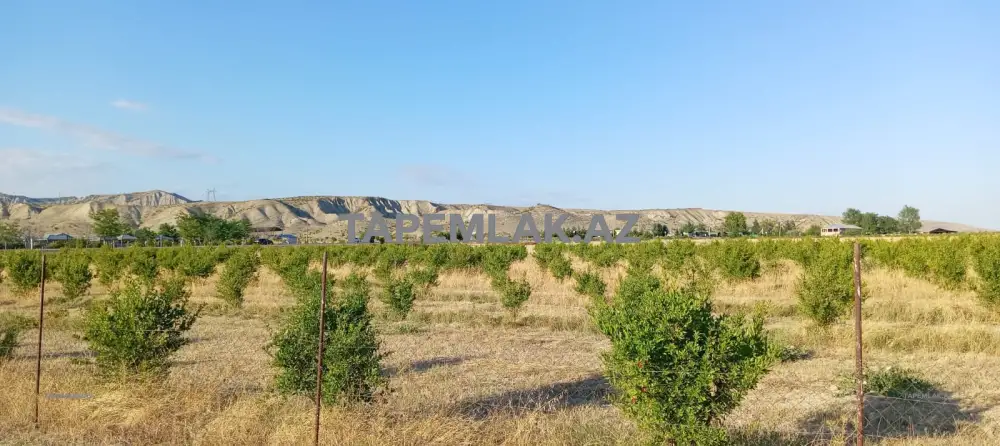 Satılır 200 sot Torpaq